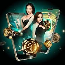 jll11
